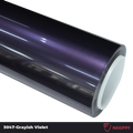 A sports car with Grayish Violet paint protection film colored wrap is parking in the garage