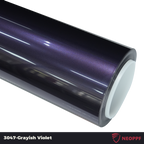 A sports car with Grayish Violet paint protection film colored wrap is parking in the garage