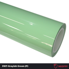 A sports car with Grayish Green paint protection film colored wrap is parking in the garage