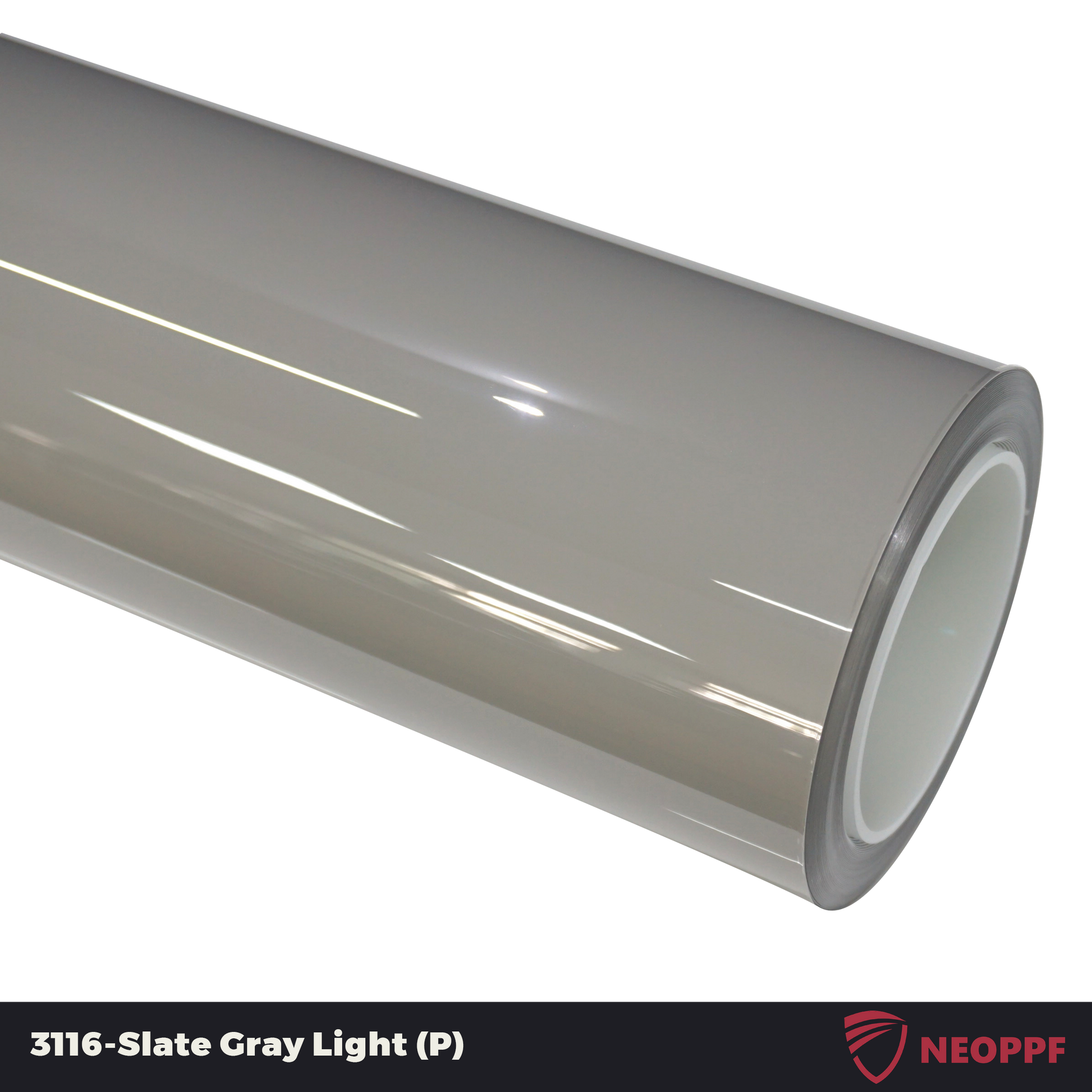 3116 - Slate Gray Light (P)