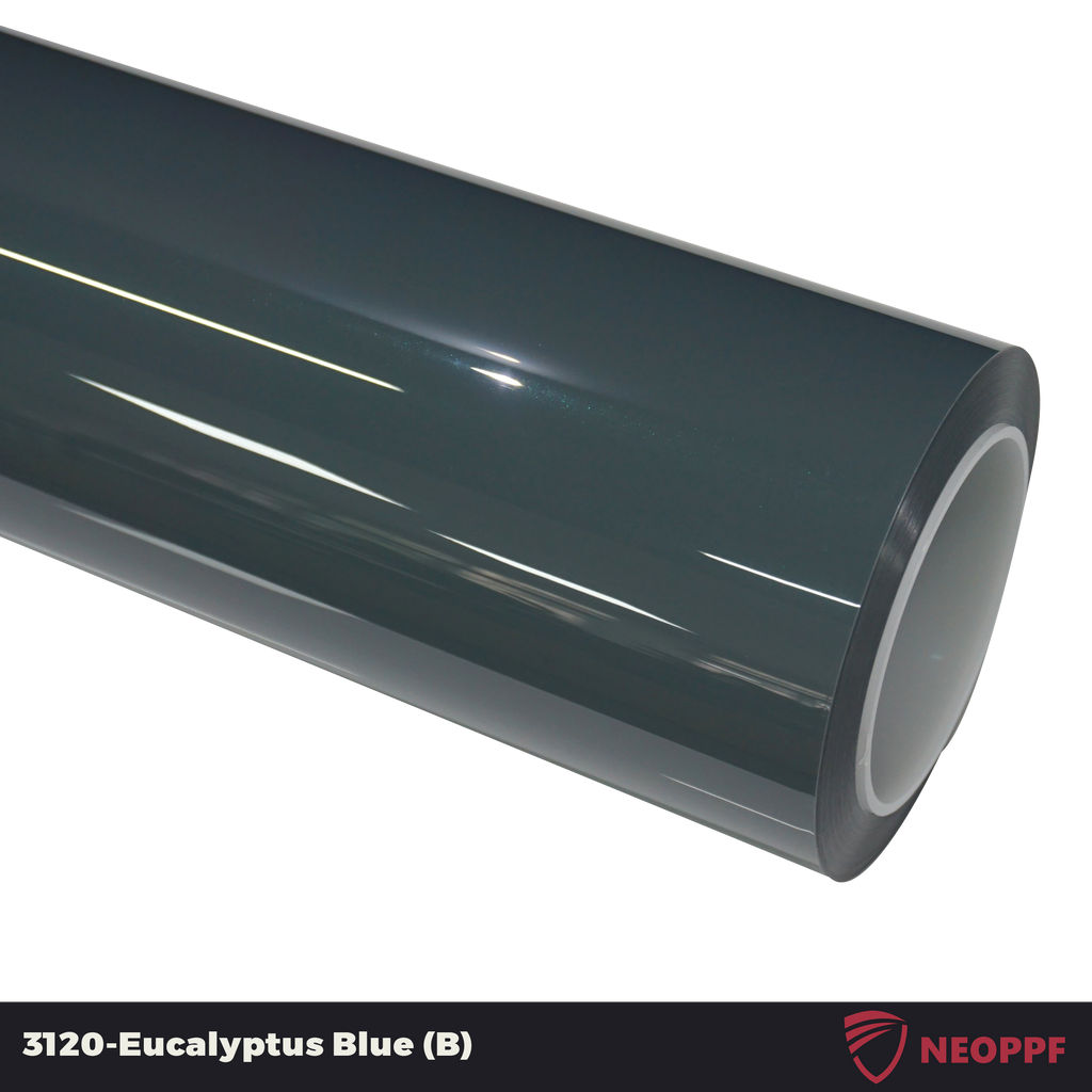A sports car with Eucalyptus Blue paint protection film colored wrap is parking in the garage