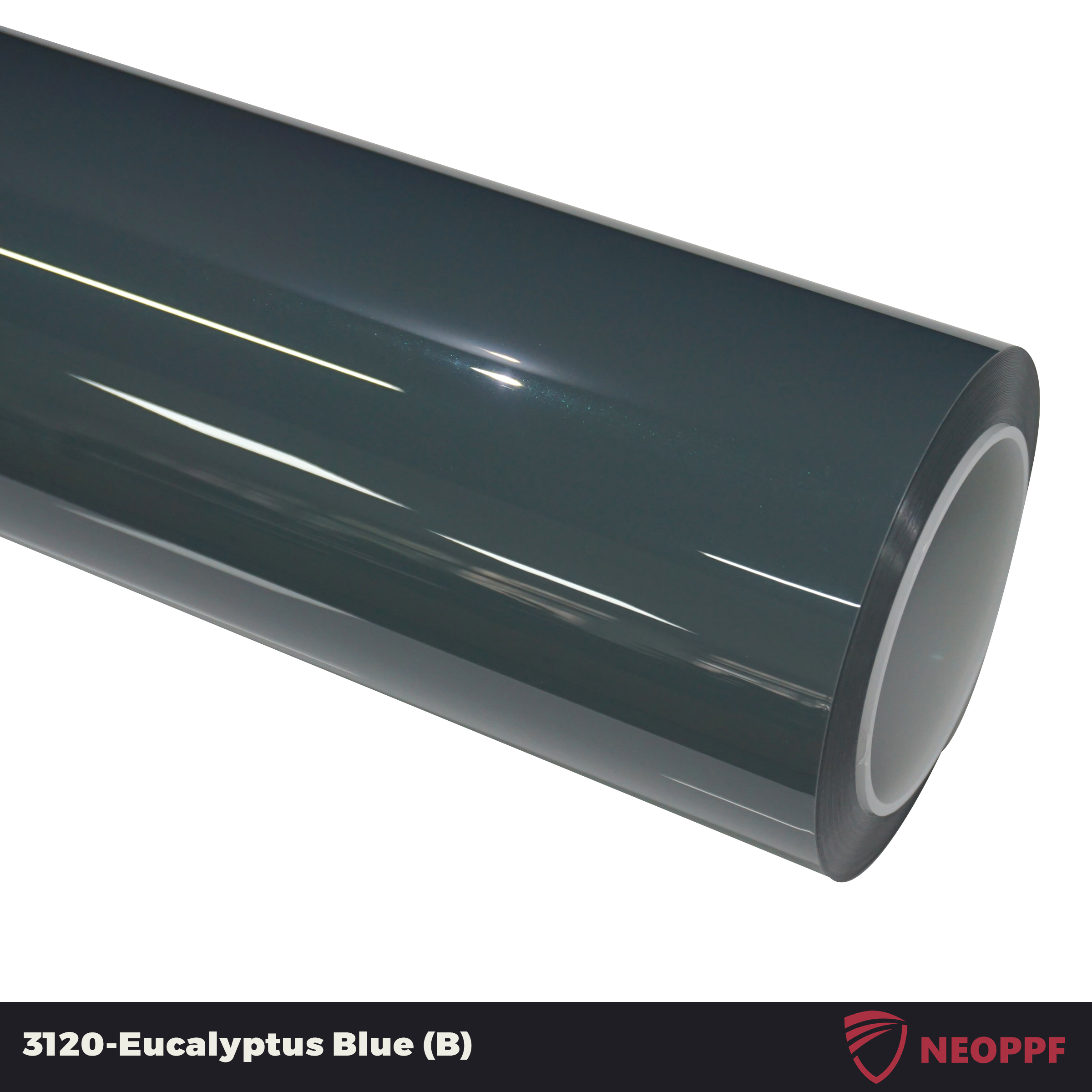 A sports car with Eucalyptus Blue paint protection film colored wrap is parking in the garage
