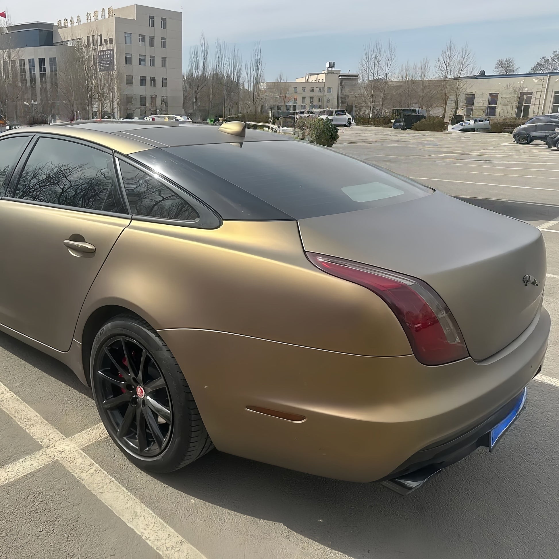 5055 - Matte Shadow Gold (L)