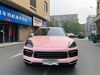 2019 - Fancy Rouge Pink