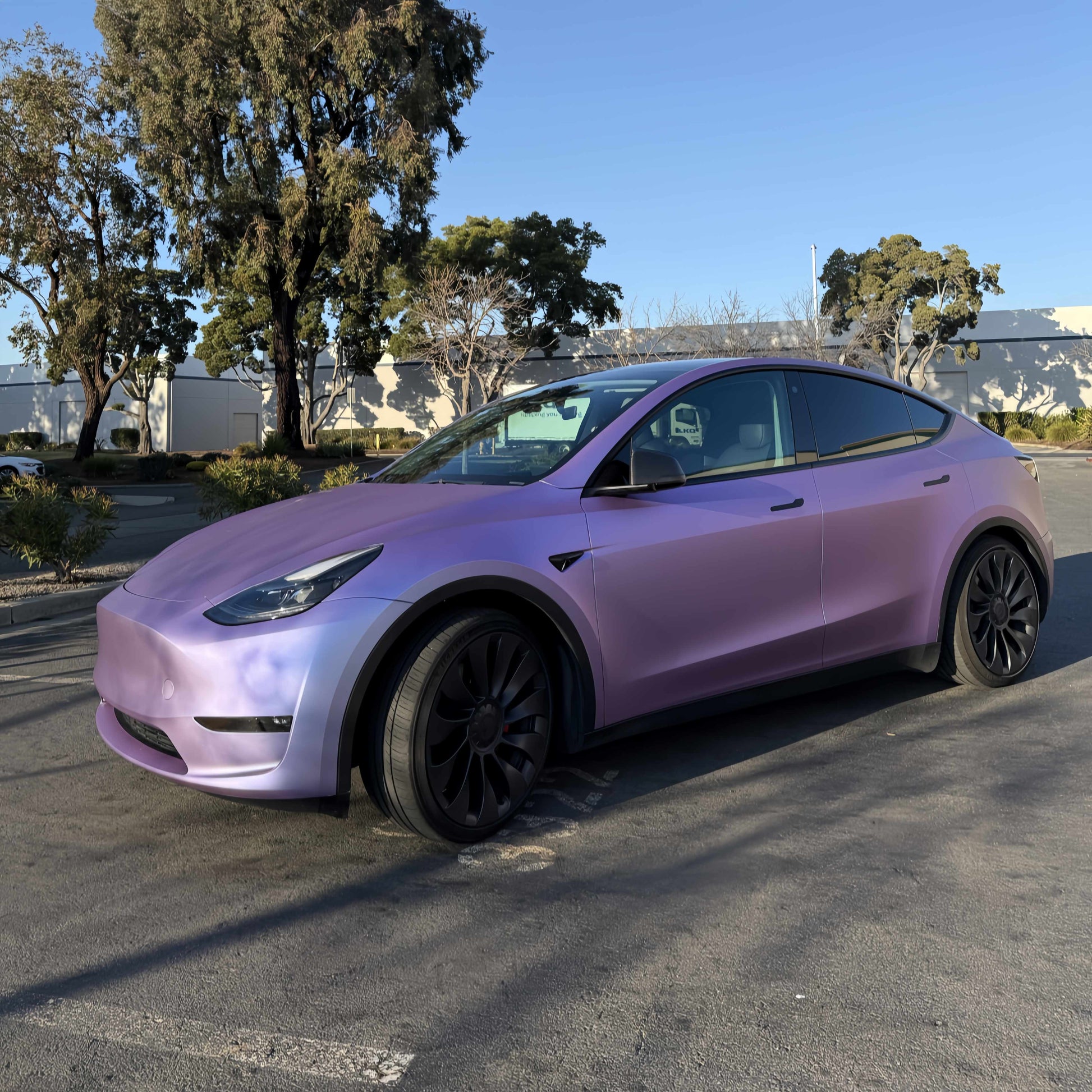 5017 - Matte Purple Mist Silver