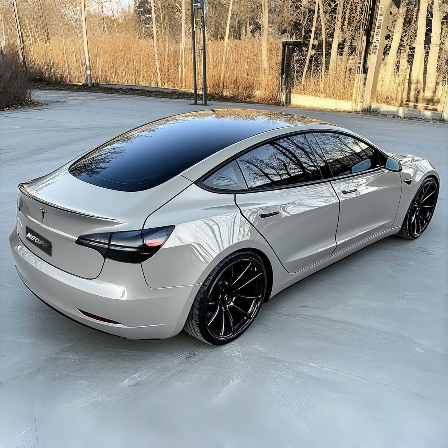 3017 - Soapstone Gray (T)