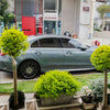 2011 - Cement Gray