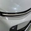 3054 - Pearlescent White