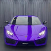 3037 - Viola Pasifae Purple (L)