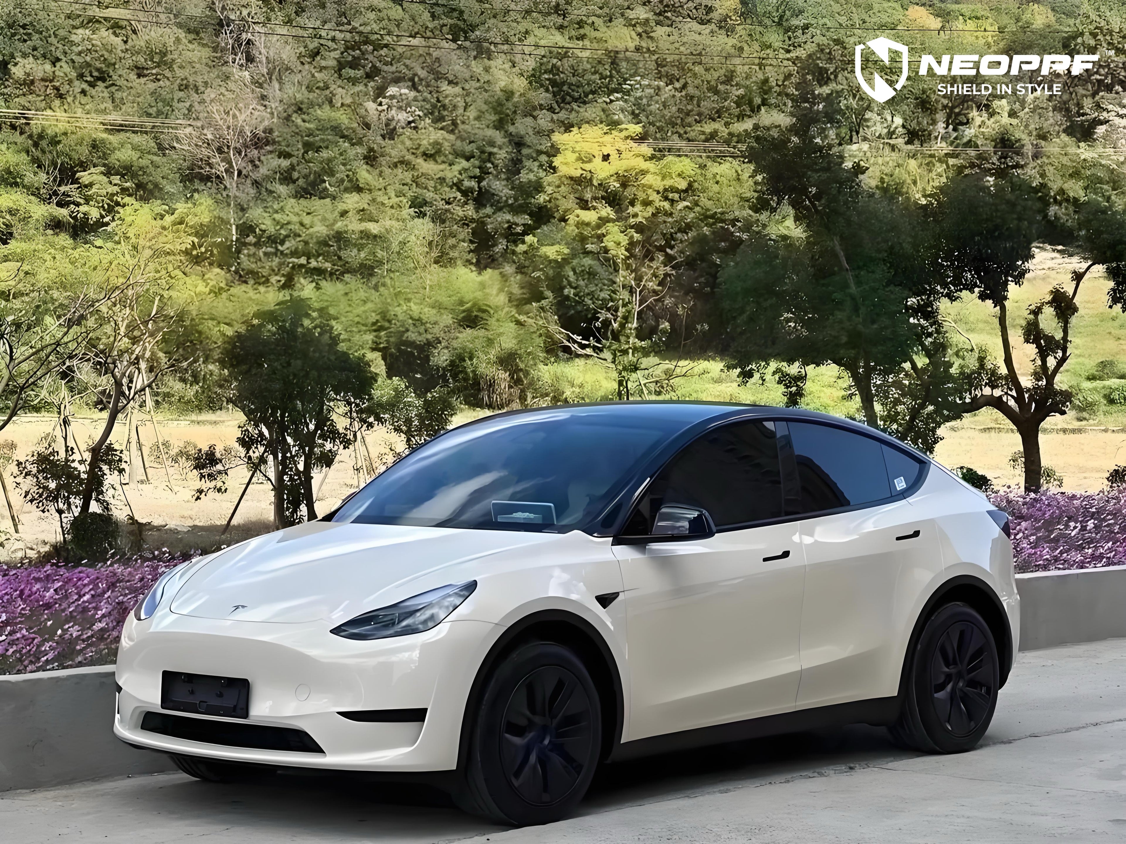 A sports car with Pepper White paint protection film colored wrap is parking in the garage