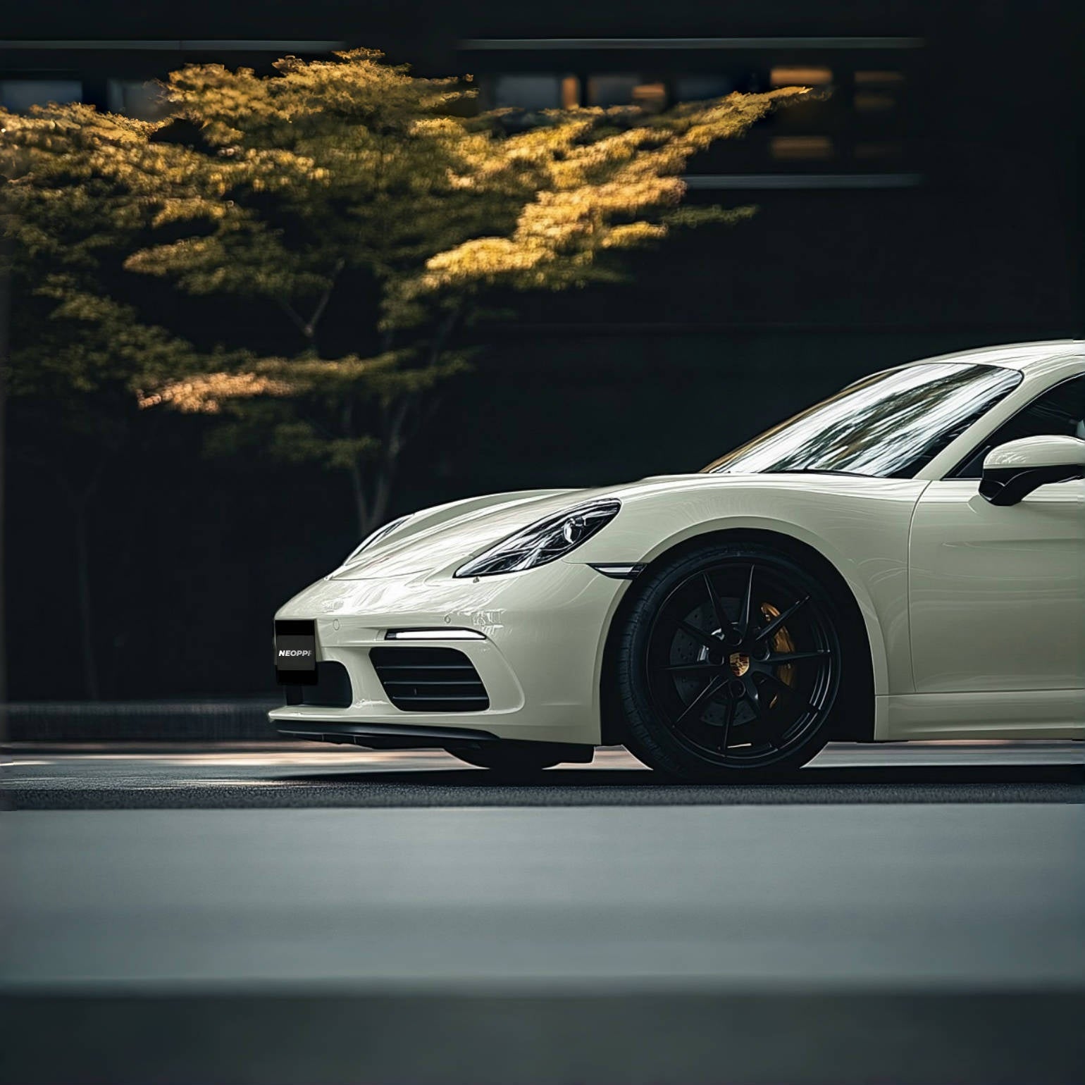 A sports car with Agate Gray paint protection film colored wrap is parking in the garage
