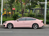 4003 - Liquid Metallic Shell Pink