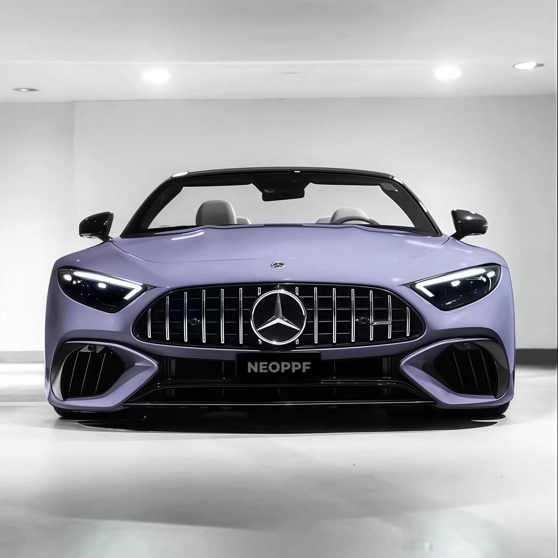 2029 - Victoria Purple