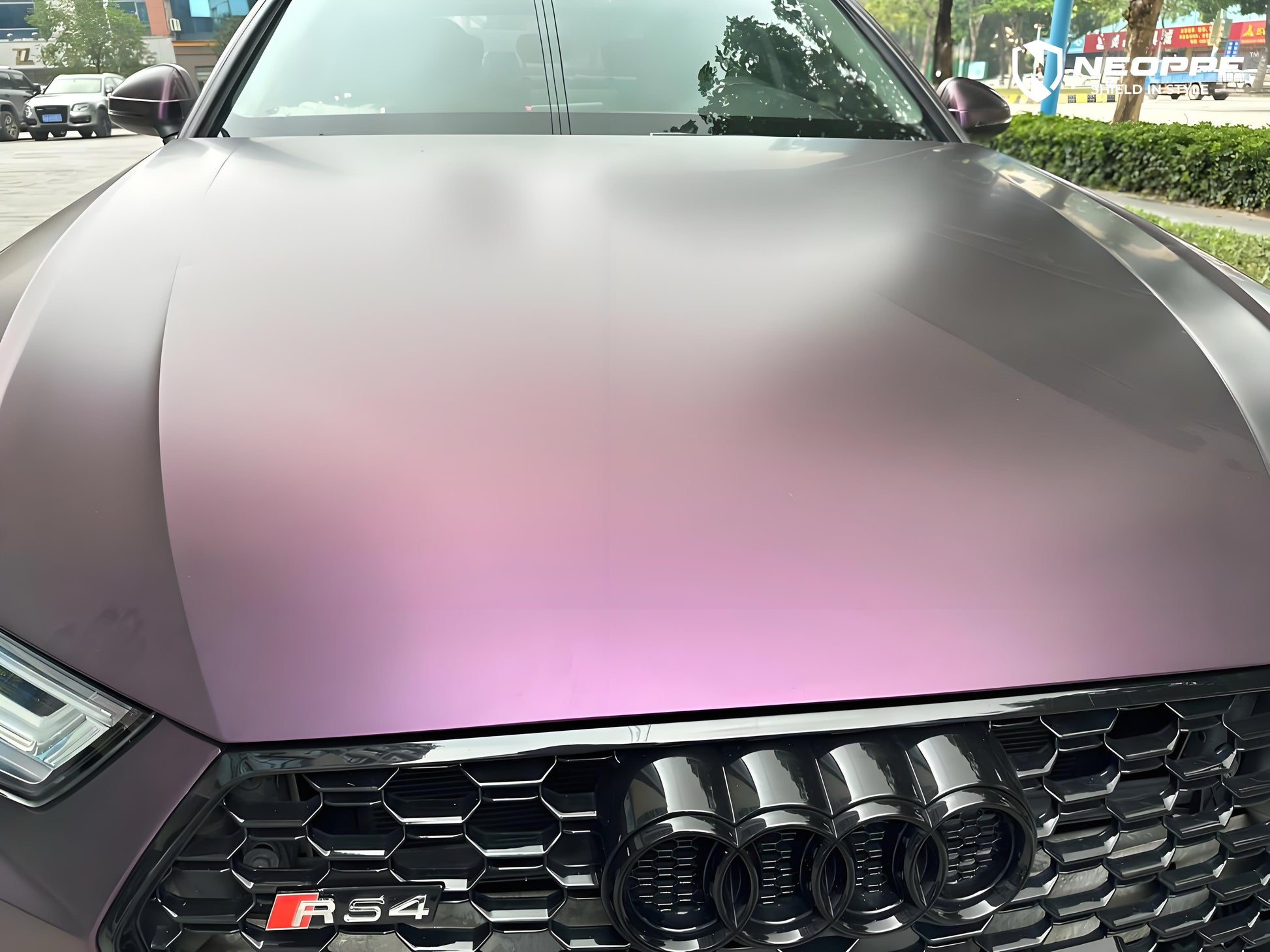 5005 - Ultra Matte Electroplated Purple