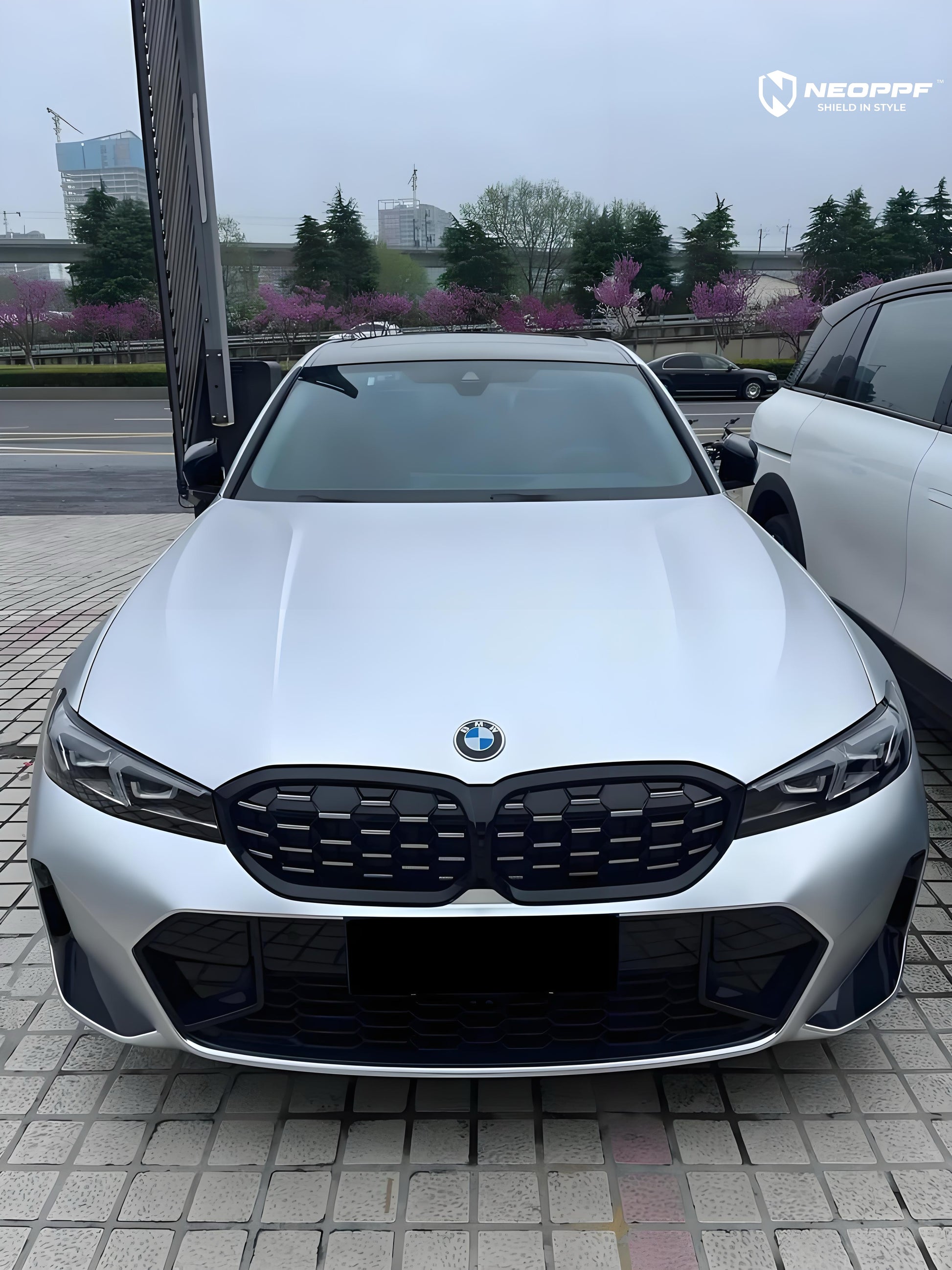 5006 - Matte Alexander Silver