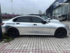 5006 - Matte Alexander Silver