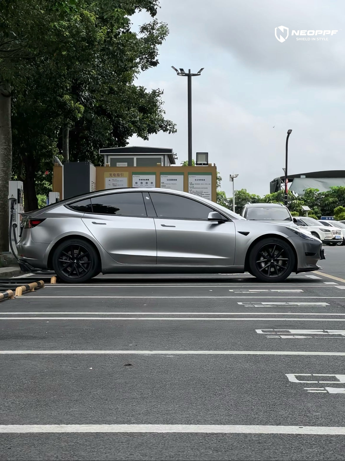 5007 - Matte Titanium Silver
