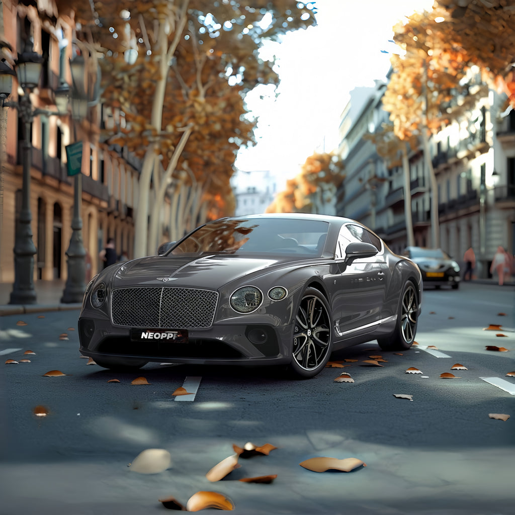 A sports car with Battleship Gray paint protection film colored wrap is parking in the garage