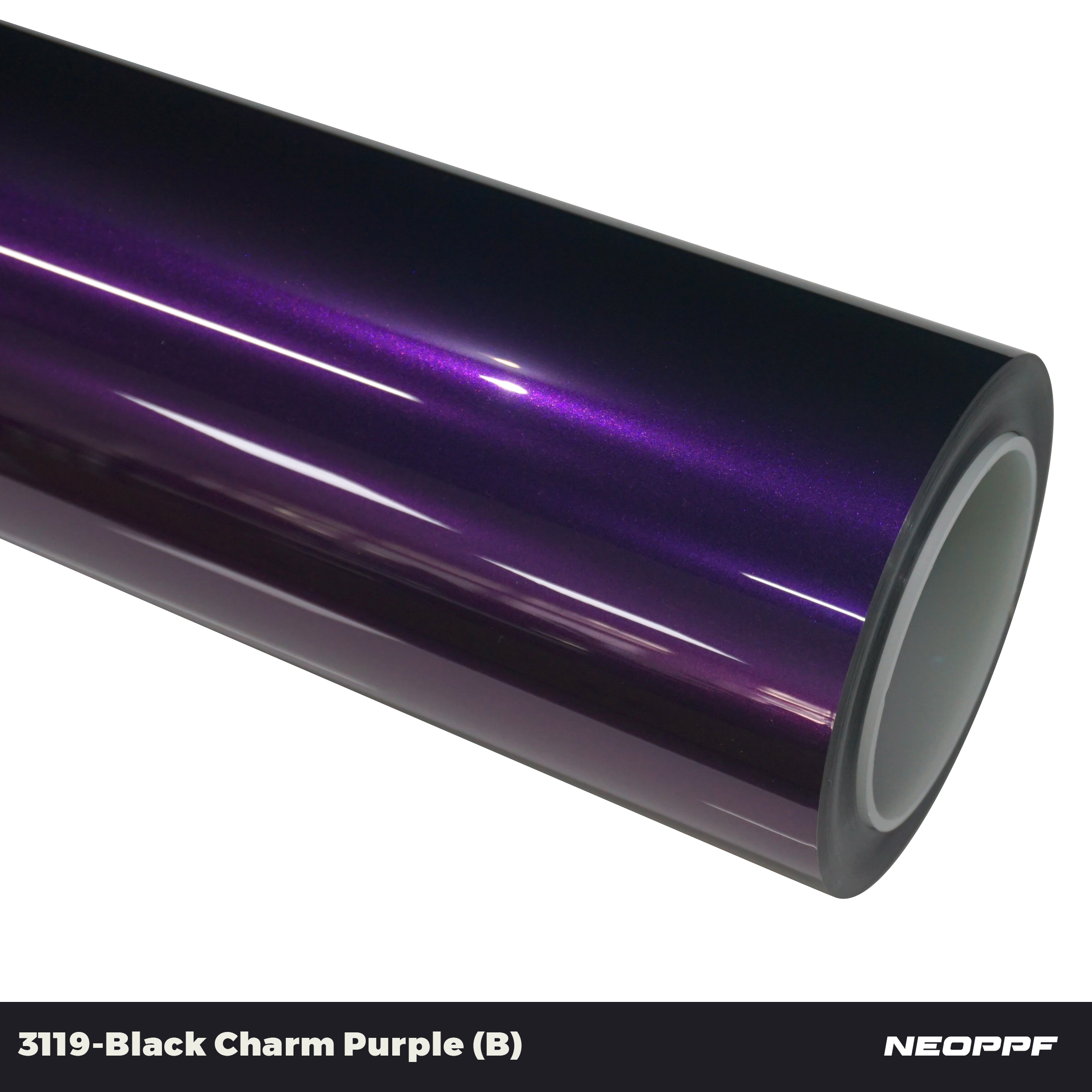 3119 - Black Charm Purple (B)