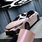 2019年 - ファンシールージュピンク