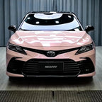 2019年 - ファンシールージュピンク