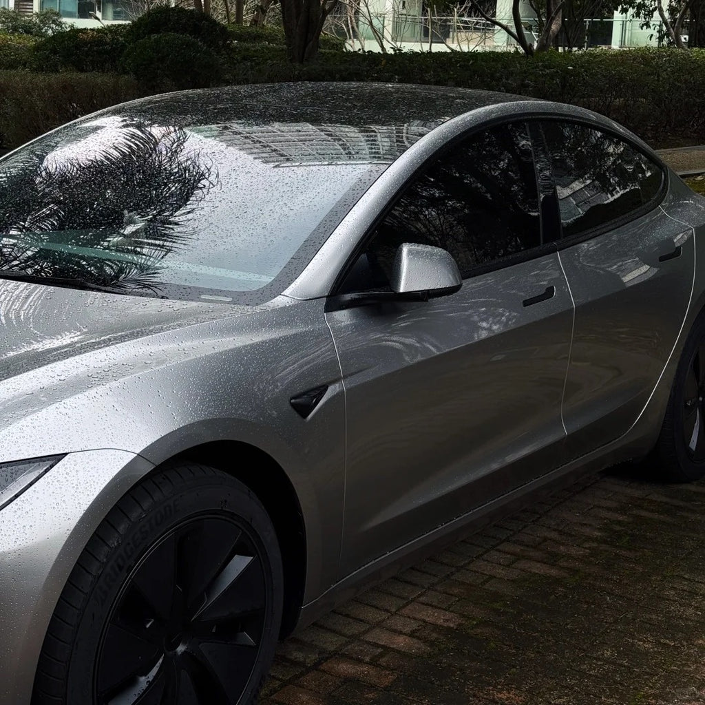 1007 - GT Silver