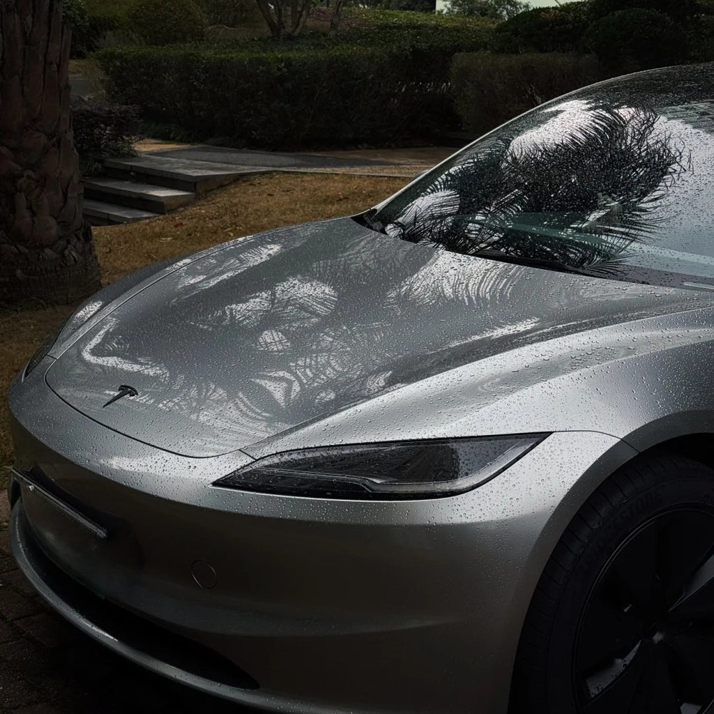 1007 - GT Silver