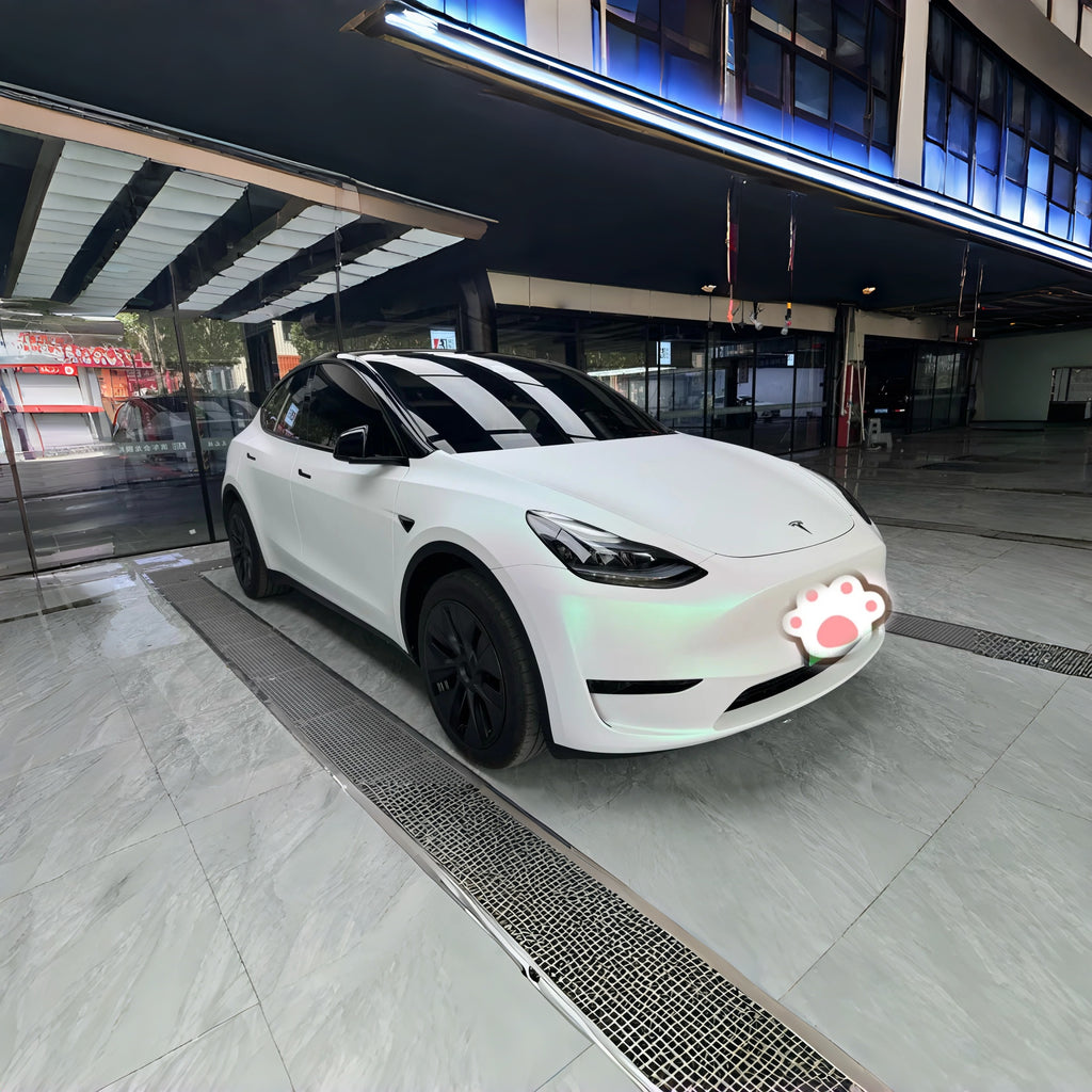 1021 -Gloss Colorful Dawning White