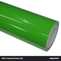 3141 - Lizard Green (A)