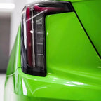 3141 - Lizard Green (A)