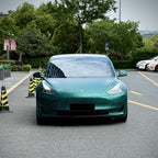 7012-Matte Flower Carbon Lake Green