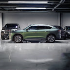5036 - Matte Ghost Green Metallic