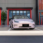 2006 - Mist Grayish Purple