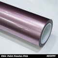 3164-Paint Passion Pink