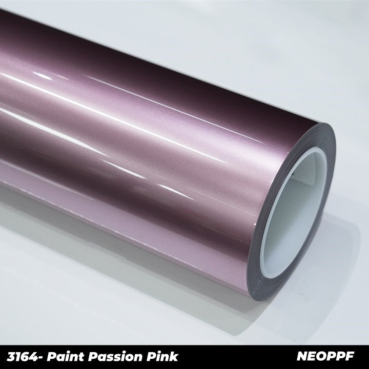 3164-Paint Passion Pink