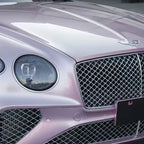 3164-Paint Passion Pink