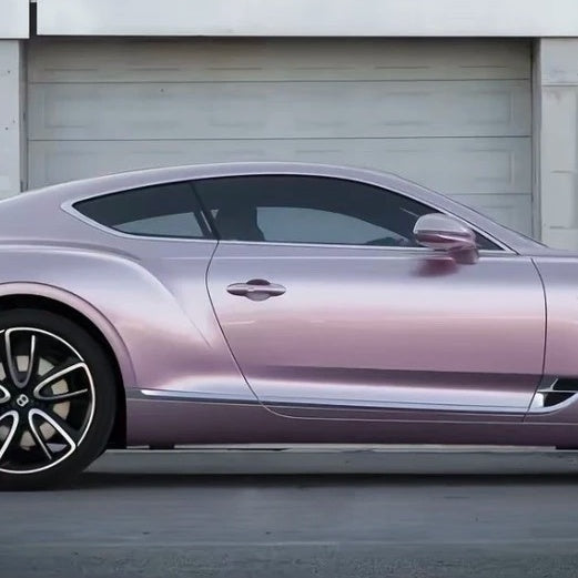 3164-Paint Passion Pink