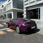 3161-Paint Rs pearl Grape Purplr