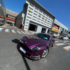 3161-Paint Rs pearl Grape Purplr