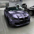 2028 - Rosemary Purple