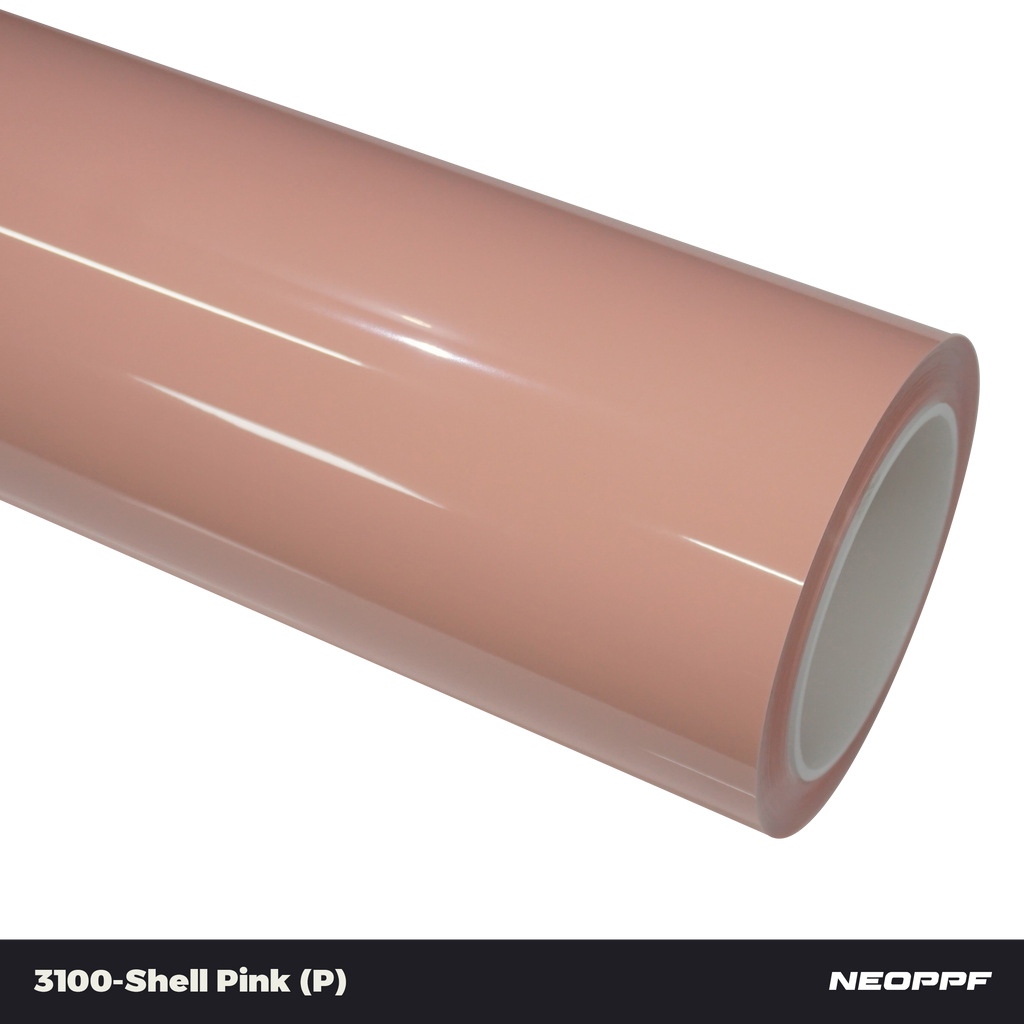 3100 - Shell Pink (P)
