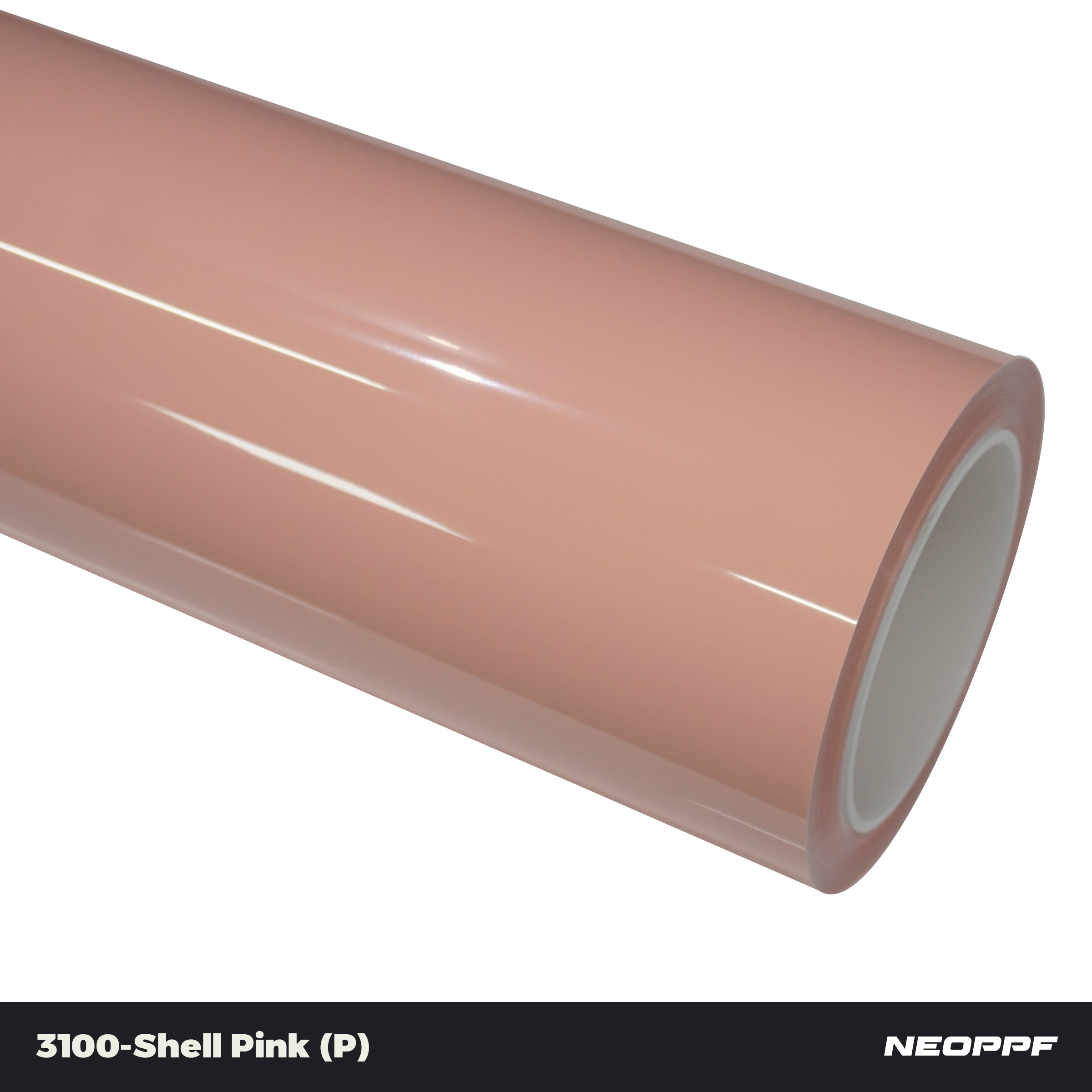 3100 - Shell Pink (P)