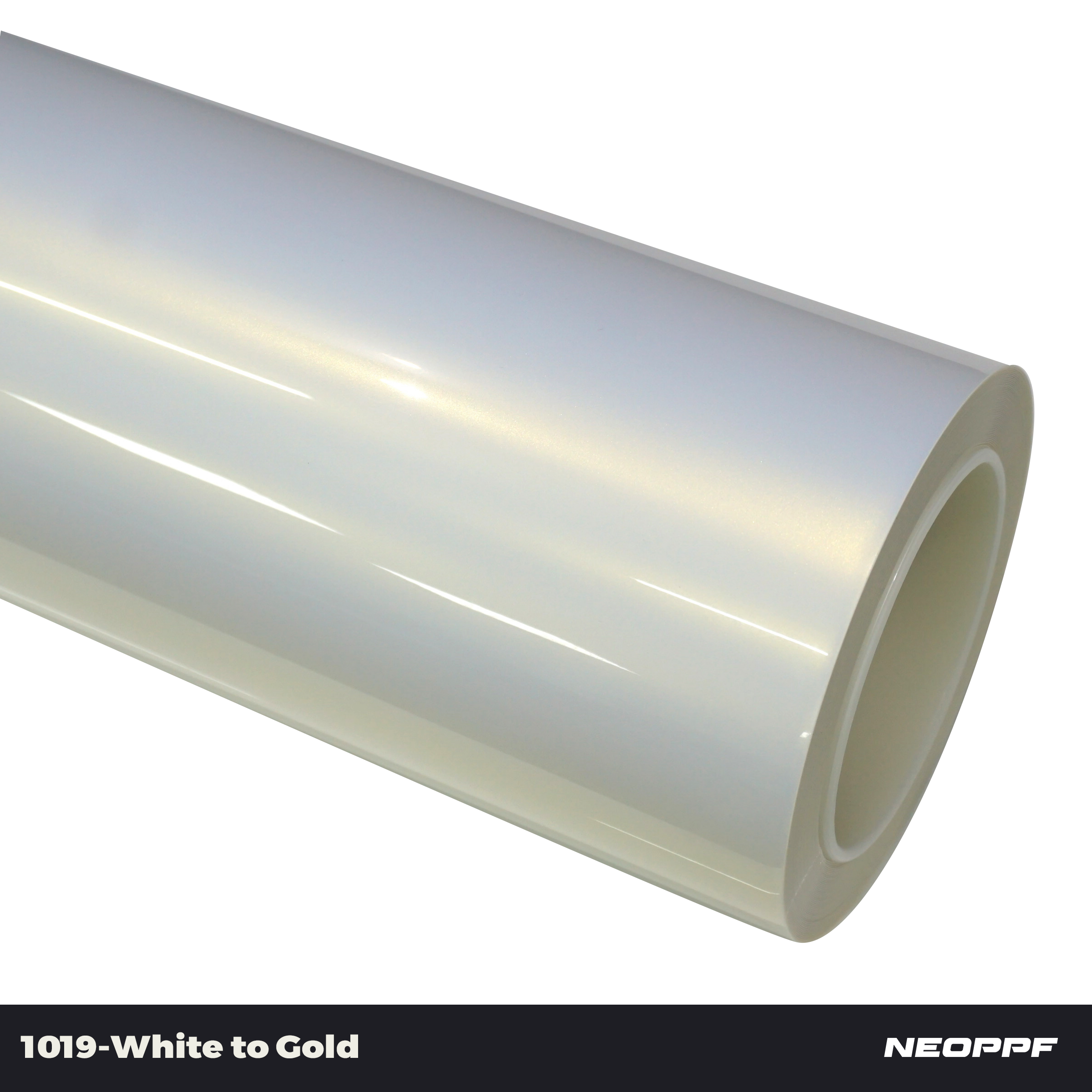 1019 - White to Gold